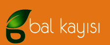 Bal Kayısı